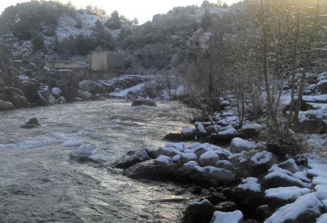  Camicrema con piragua Reals 